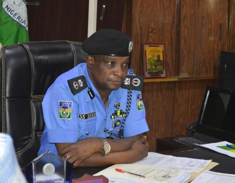 Mun kama masu laifi 245 a kwanaki 40 a Kano — Ƴan Sanda Mun kama masu laifi 245 a kwanaki 40 a Kano — Ƴan Sanda