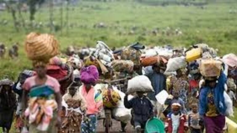 Rashin tsaro: Ƴan Nijeriya 11,500 ne su ka tsere zuwa Nijar a Nuwamba- UNHCR Rashin tsaro: Ƴan Nijeriya 11,500 ne su ka tsere zuwa Nijar a Nuwamba- UNHCR