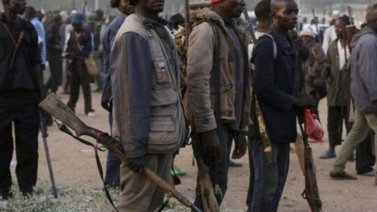 Ƴan vigilante sun hallaka masu shunen mutane ga ƴan fashin daji 11 a Zamfara Ƴan vigilante sun hallaka masu shunen mutane ga ƴan fashin daji 11 a Zamfara