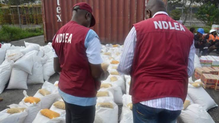 NDLEA ta kama gingimari maƙare da ƙwayar Tramadol miliyan 1.5 kan hanyar kawo su jihohin Kebbi da Kano NDLEA ta kama gingimari maƙare da ƙwayar Tramadol miliyan 1.5 kan hanyar kawo su jihohin Kebbi da Kano