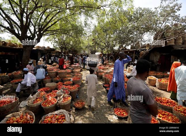 Tsaftar Muhalli: Gwamnatin Kano ta ci tarar kasuwar ƴankaba N200,000 Tsaftar Muhalli: Gwamnatin Kano ta ci tarar kasuwar ƴankaba N200,000