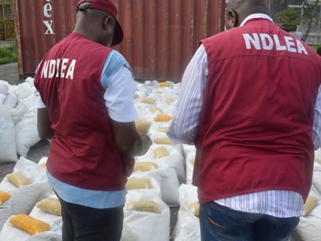 Hukumar NDLEA ta kama Tramadol na kimanin Naira Biliyan 5 a jihohi 3 Hukumar NDLEA ta kama Tramadol na kimanin Naira Biliyan 5 a jihohi 3