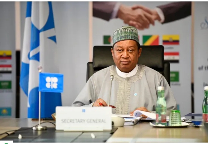 Sakatare-Janar na OPEC, Barkindo ya rasu Sakatare-Janar na OPEC, Barkindo ya rasu