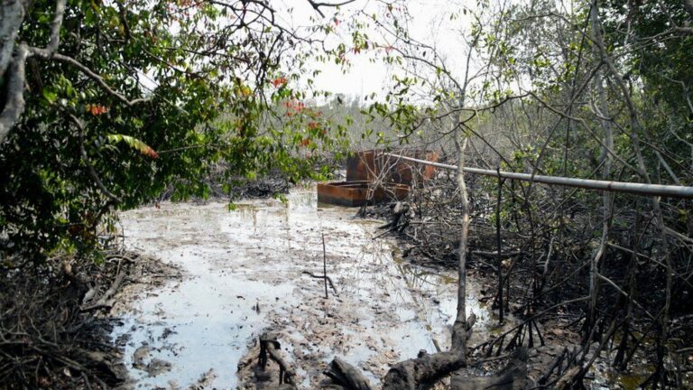 Ana satar ganga 400,000 na ɗanyen fetur a kowace rana a Nijeriya– Gwamnati