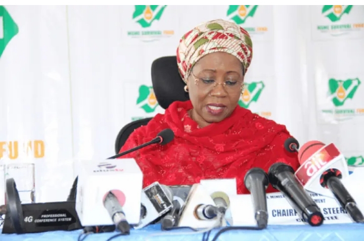 Ƴan Nijeriya miliyan 1.2 sun ci gajiyar Naira biliyan 66 na asusun ceto na MSMEs — Gwamnati