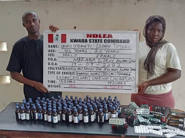 NDLEA ta kama dilolin Akurkura da ɗan shekara 75 mai gonar wiwi NDLEA ta kama dilolin Akurkura da ɗan shekara 75 mai gonar wiwi