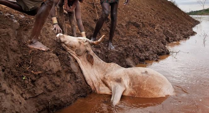 Ɗan Shekara 18 ya rasu a ruwa yayin ceto saniyarsa a Jigawa Ɗan Shekara 18 ya rasu a ruwa yayin ceto saniyarsa a Jigawa