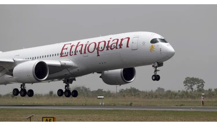 Dalilin da ya sa Ethiopia ta dakatar da biza ga ƴan Nijeriya lokacin sauka ƙasar — Gwamnati Dalilin da ya sa Ethiopia ta dakatar da biza ga ƴan Nijeriya lokacin sauka ƙasar — Gwamnati