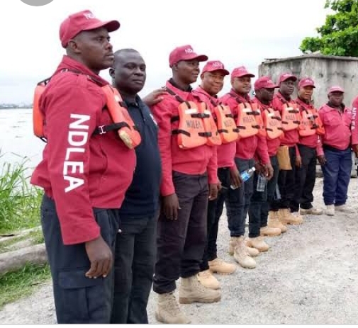 Ɗan takara ɗaya ne tak ya zo wajen mu gwaji a Katsina — NDLEA Ɗan takara ɗaya ne tak ya zo wajen mu gwaji a Katsina — NDLEA