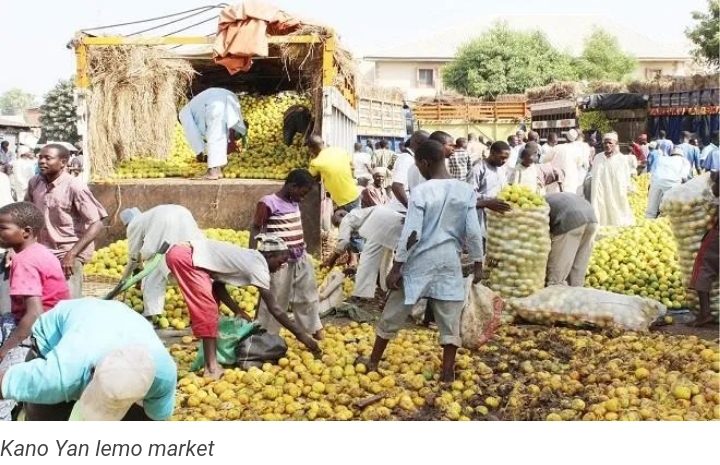 Gwamnatin Kano ta gargaɗi kasuwar ƴan lemo a kan tsafta ko ta fuskanci hukunci Gwamnatin Kano ta gargaɗi kasuwar ƴan lemo a kan tsafta ko ta fuskanci hukunci