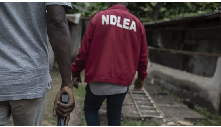 Mun kama mutane 352 da kuma miyagun ƙwayoyi tan 2.1 a Kano a wata 2 — NDLEA Mun kama mutane 352 da kuma miyagun ƙwayoyi tan 2.1 a Kano a wata 2 — NDLEA