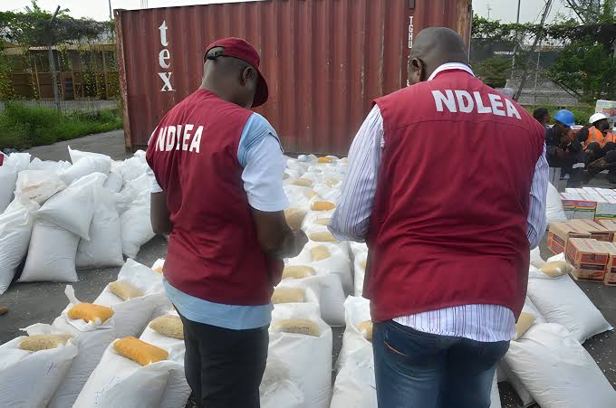 NDLEA ta kama ɗan fashin jeji da ake nema ruwa a jallo tare da kama jabun Dalar Amurka NDLEA ta kama ɗan fashin jeji da ake nema ruwa a jallo tare da kama jabun Dalar Amurka