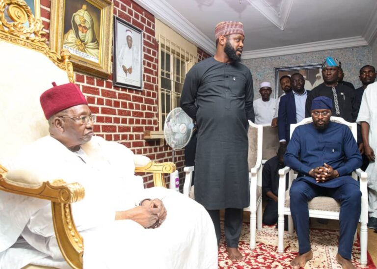 Ambaliya: Seyi Tinubu ya kai gudunmawar likitoci zuwa Maiduguri