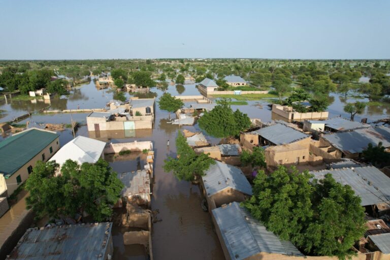 Ambaliya: Mutane 30 ne su ka rasu a Maiduguri — NEMA