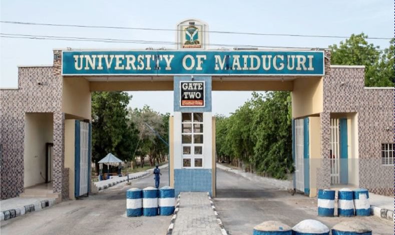 University of Maiduguri gate