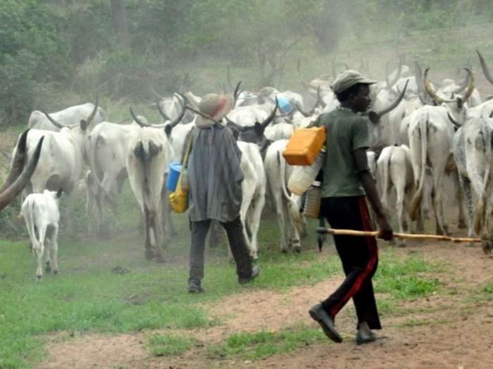 Fulani_Herdsmen