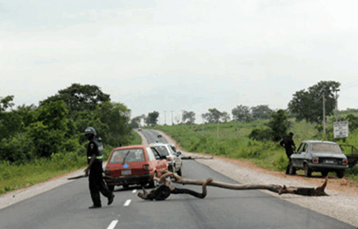 Police-Roadblocks-1