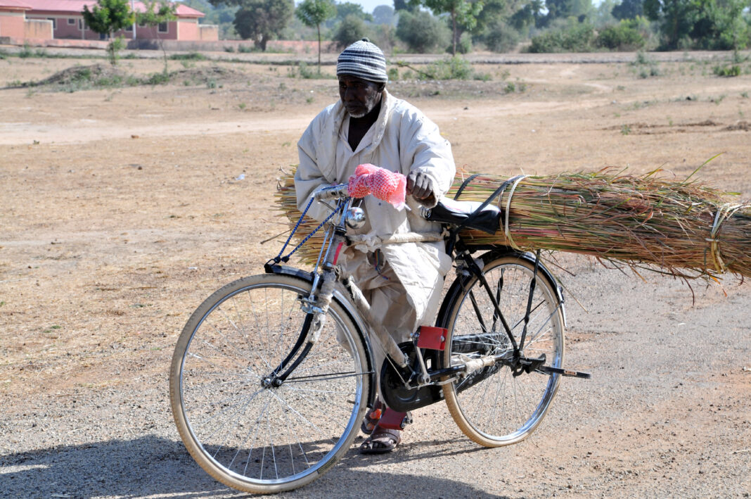 A man rolls his bicycle along the Birnin Kudu-Dutse road, south of Jigawa on the World Bicycle Day on Thursday. Photo credit: Jones Bamidele/NAN.