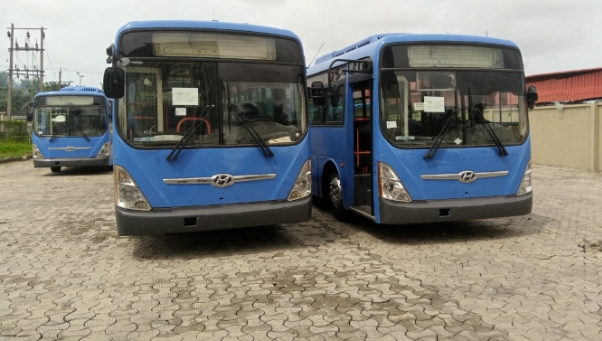Some of the CNG-powered mass transit buses