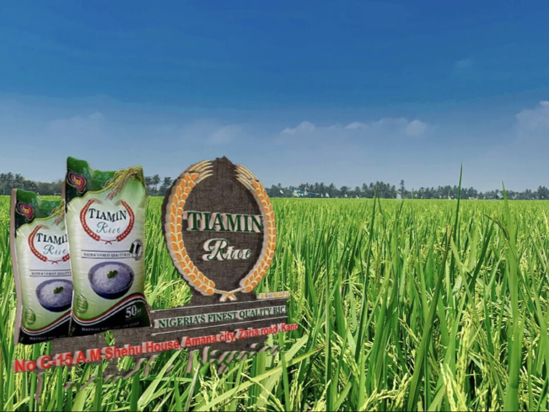 Tiamin Rice farm