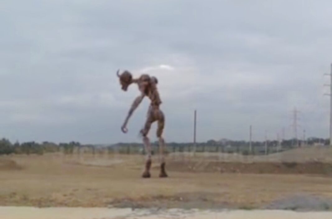 Fake alien in Katsina