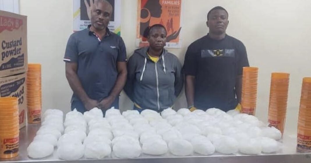 NDLEA intercepts UK-bound meth worth N567 million, seals drug baron's Lekki mansion