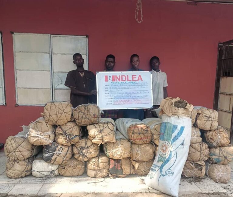 NDLEA intercepts 122,900 Tramadol pills, Exol-5 in 3 states