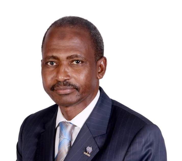 Engineer Mustapha Shehu, WFEO president