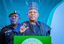 VP Kashim Shettima