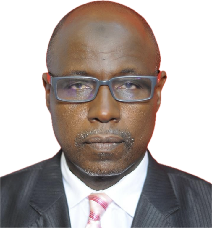 Professor Nasir Adamu Aliyu, SAN